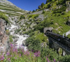 Il "trenino del Furka" si riferisce alla Dampfbahn Furka-Bergstrecke (DFB), una ferrovia storica a cremagliera che opera sulla vecchia linea di montagna del passo del Furka tra Realp (Uri) e Oberwald (Vallese). Il treno turistico è gestito da un'associazione di volontari ed è in funzione principalmente durante l'estate